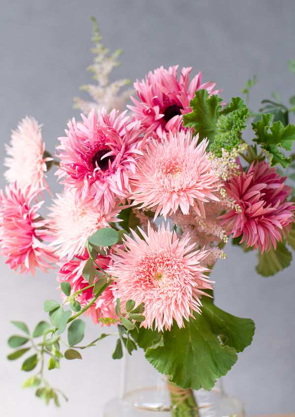 【期間限定】ガーベラのシックな花束「bloom」M - &YOUKAEN (アンドユーカエン)