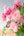 【期間限定】ガーベラのシックな花束「bloom」M - &YOUKAEN (アンドユーカエン)