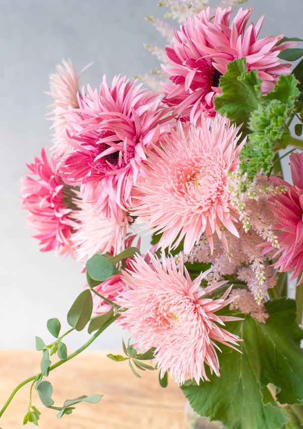 【期間限定】ガーベラのシックな花束「bloom」M - &YOUKAEN (アンドユーカエン)