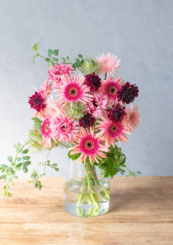 【期間限定】ガーベラのシックな花束「bloom」L - &YOUKAEN (アンドユーカエン)