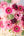 【期間限定】ガーベラのシックな花束「bloom」L - &YOUKAEN (アンドユーカエン)
