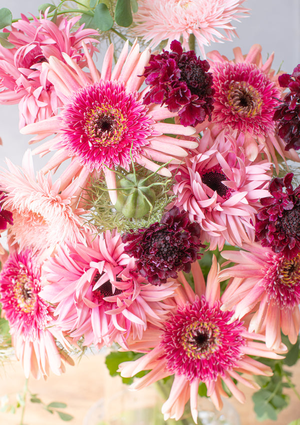 【期間限定】ガーベラのシックな花束「bloom」L - &YOUKAEN (アンドユーカエン)