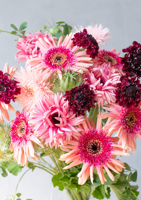 【期間限定】ガーベラのシックな花束「bloom」L - &YOUKAEN (アンドユーカエン)