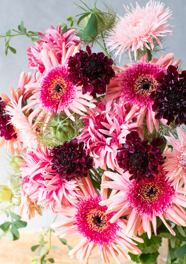 【期間限定】ガーベラのシックな花束「bloom」L - &YOUKAEN (アンドユーカエン)