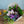 誕生日や結婚記念日に 期間限定 季節の花束「Tropical Mauve」M ＜パープル＆グリーン＞ - &YOUKAEN (アンドユーカエン)