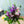 誕生日や結婚記念日に 期間限定 季節の花束「Tropical Mauve」M ＜パープル＆グリーン＞ - &YOUKAEN (アンドユーカエン)