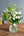 誕生日や結婚記念日に 初夏の花束ホワイトグリーンの花束「Brise Blanche」【期間限定】 - &YOUKAEN (アンドユーカエン)
