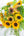 【2026年父の日の花】父の日 Special 花束・ブーケ 「Helianthus glad」