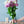 季節の花40～50ｃｍ 「トルコキキョウ八重咲 ラベンダー 5本」