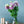 季節の花40～50cm 「トルコキキョウ八重咲 ラベンダー 5本」