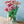 季節の花 40～50cm 「トルコキキョウ八重咲  アンティークピンク 5本」