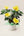 【2026お中元】南国感あふれる黄色の花『ハイビスカス イエロー』 鉢植え - &YOUKAEN (アンドユーカエン)
