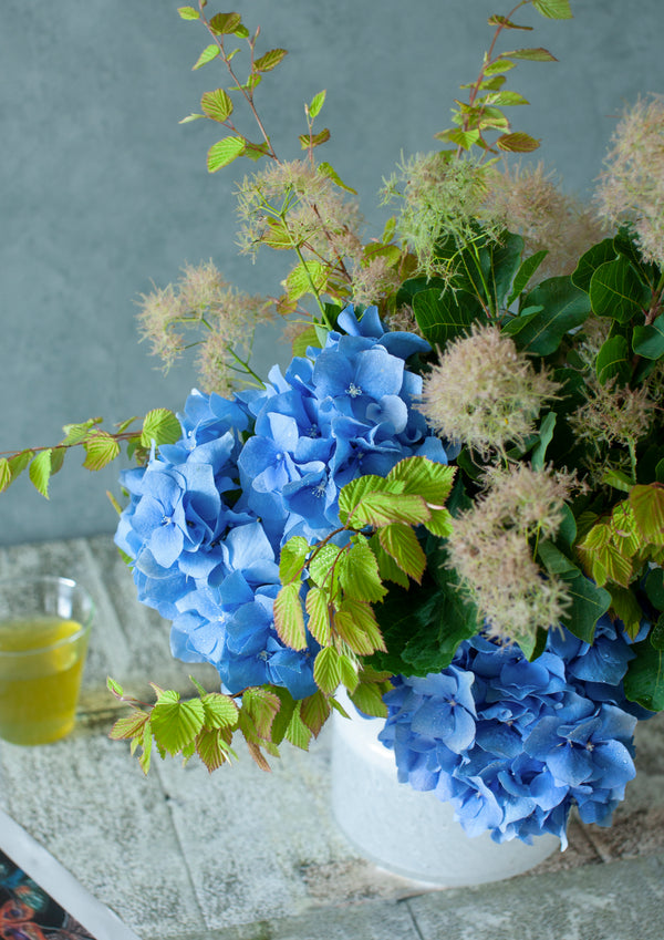 季節を贈るバースデーフラワー 6月「スモークツリーと紫陽花」