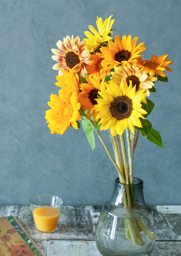 季節の花 50～60ｃｍ 「ひまわり」サンリッチオレンジ10本 花径8～10ｃｍ