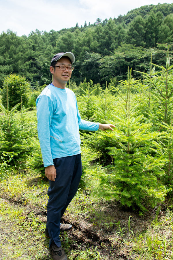【予約販売】森香る！国産もみの木のクリスマスツリー φ80~100cm