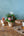 【おしゃれなお飾りセット】Christmas Special Set S クリスマスアレンジメント「birch round」 ＜roses＞【クリスマス限定】