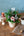 【おしゃれなお飾りセット】Christmas Special Set S クリスマスアレンジメント「birch round」 ＜roses＞【クリスマス限定】