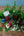 【おしゃれなお飾りセット】Christmas Special Set M クリスマスアレンジメント「birch square」＜roses＞【クリスマス限定】