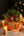 【おしゃれなお飾りセット】Christmas Special Set M クリスマスアレンジメント「birch square」＜roses＞【クリスマス限定】