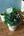 【クリスマス限定ギフト】クリスマスアレンジメントS「birch round」【おしゃれなフラワーアレンジメント】