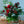 【クリスマス限定ギフト】クリスマスブーケ ＜ルージュ＞【おしゃれな花束・ブーケ】