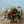 【クリスマス限定ギフト】クリスマスブーケ ＜ルージュ＞【おしゃれな花束・ブーケ】