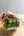 クリスマスブーケ ＜ルージュ＞ Mサイズ｜おしゃれな赤バラと針葉樹の花束