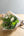 クリスマスブーケ ＜ブラン＞ Mサイズ｜純白とグリーンのおしゃれな花束