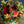 オータムアレンジメント「秋の彩り」 幅40cm×高さ45cm 【期間限定 オータムギフト】