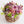 秋のお花を使った フラワーアレンジメント「すもも」 幅15cm×高さ17cm 【期間限定 オータムギフト】