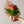 バラと季節のグリーンのブーケ「Rosa」 高さ30cm × 幅20cm 【期間限定 オータムギフト】