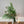 【花束】旬のコニファーで作るフレッシュグリーンのおまかせブーケ 高さ50cm【おしゃれなクリスマスギフト2023】