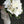 【ウェディングブーケ】Elegant Modern マグノリアのウエディングクラッチブーケ ブートニア付き【造花のブーケ】