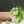 【ウェディングブーケ】Elegant Natural スズランと流れるグリーンのウェディングブーケ ブートニア付き【造花のブーケ】