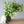 【ウェディングブーケ】みずみずしいグリーンのナチュラルブーケ ブートニア付き【造花のブーケ】