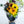 【2023年父の日の花】ひまわりの花束 ブルーレモネード Lサイズ