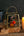 [Limited time Halloween gift] Preserved flowers to enjoy the season 