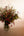 nonohana 野の花のブーケ/ deep autumn 深秋