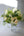 記念日の花束 四季の花を贈る -Fresh-