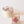 NAOKI 焼き菓子アソート & プリザーブドフラワーアレンジメント Sサイズ / アンティークロゼ 【2022年母の日限定 かわいいコラボレーションギフト】