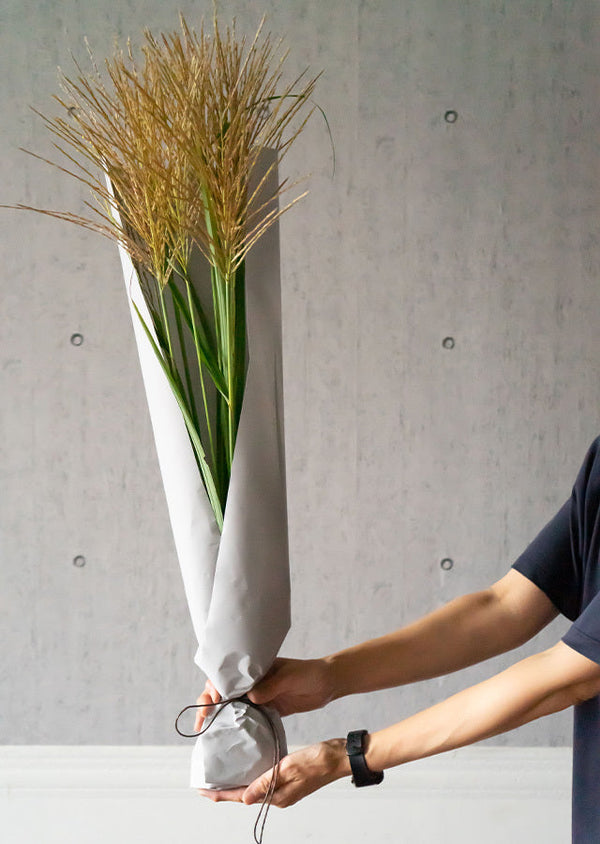 【十五夜 お月見ギフト】 お花屋さんから届く季節を愉しむ 秋の「ススキ」10本花束 高さ70cm
