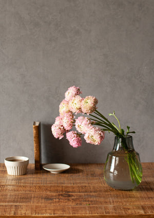 季節の花「ラナンキュラス　ハーマイオニー」