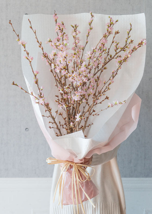 【おうちでお花見】啓翁桜の枝約80cm × 10本【シェアお花見】