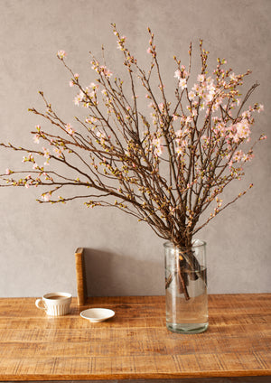 季節の枝もの 70cm「桜10本」