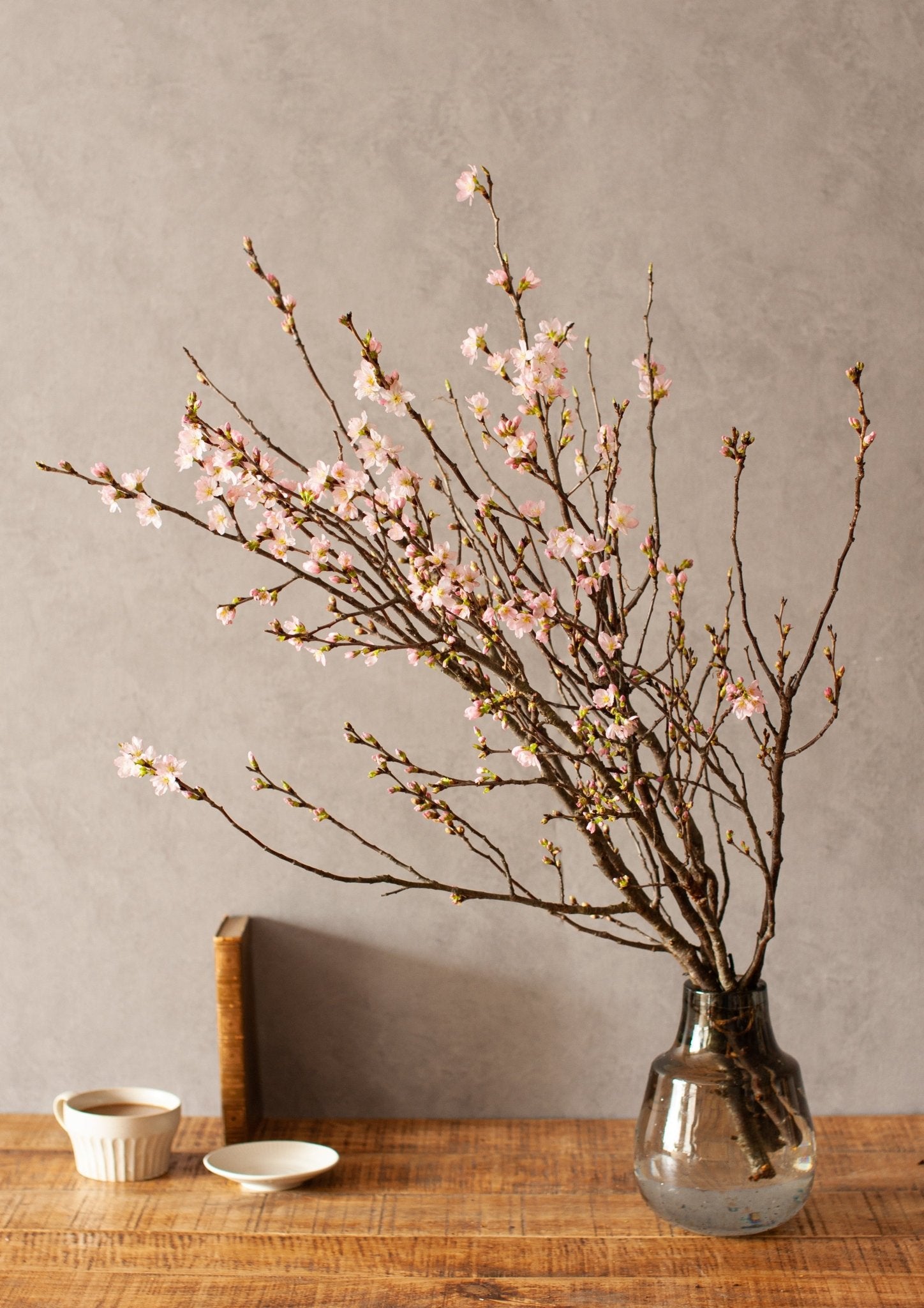 室内で楽しむ桜の枝 ギフト&自宅用に知りたい飾り方のコツ – &YOUKAEN (アンドユーカエン)