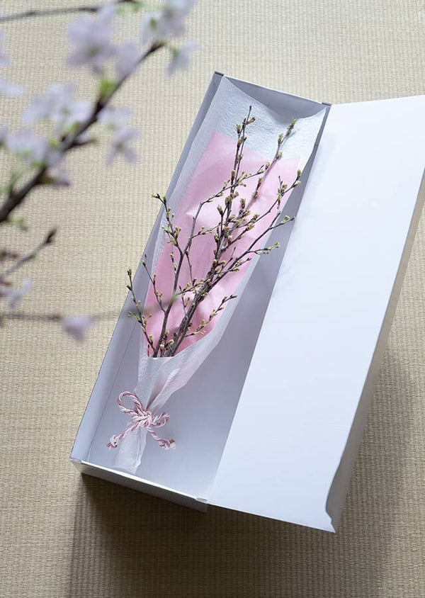 【予約販売 シェア花見】桜の枝70cm4本 × 津軽びいどろの「桜グラス」1個