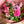 【花束】おしゃれなナチュラルピンクの花束 Lサイズ【おしゃれなブーケ】