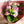 【花束】おしゃれなナチュラルピンクの花束 Mサイズ【おしゃれなブーケ】