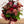 【花束】シックで可愛い ナチュラルレッド & ピンク の おしゃれな花束 Lサイズ【おしゃれなブーケ】