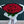 【プロポーズ用花束】赤バラ100本の花束 ※都内配送限定